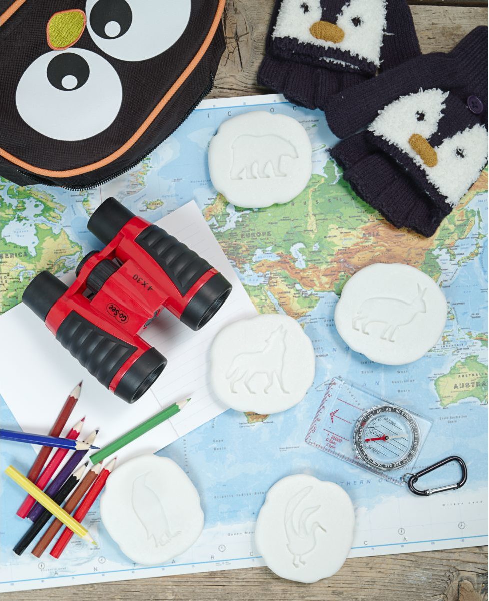 Yellow Door ontdekstenen - pootafdrukken pooldieren