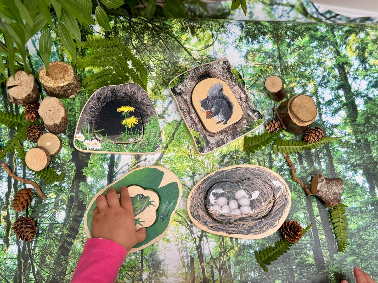 Wie verstopt zich? - Bosdieren Puzzels