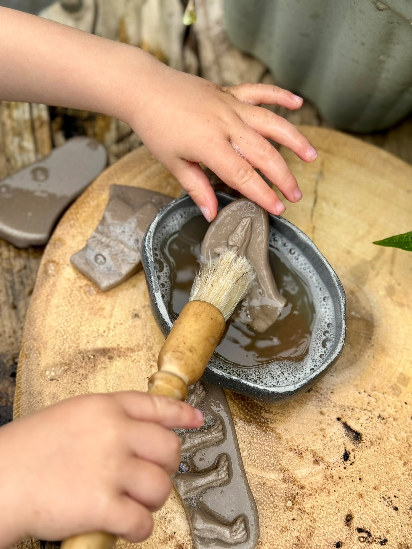 Yellow Door Dig & Discover – Pliosaur & Stegosaurus