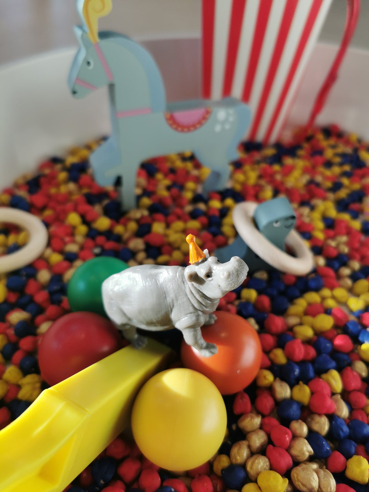 Het circus