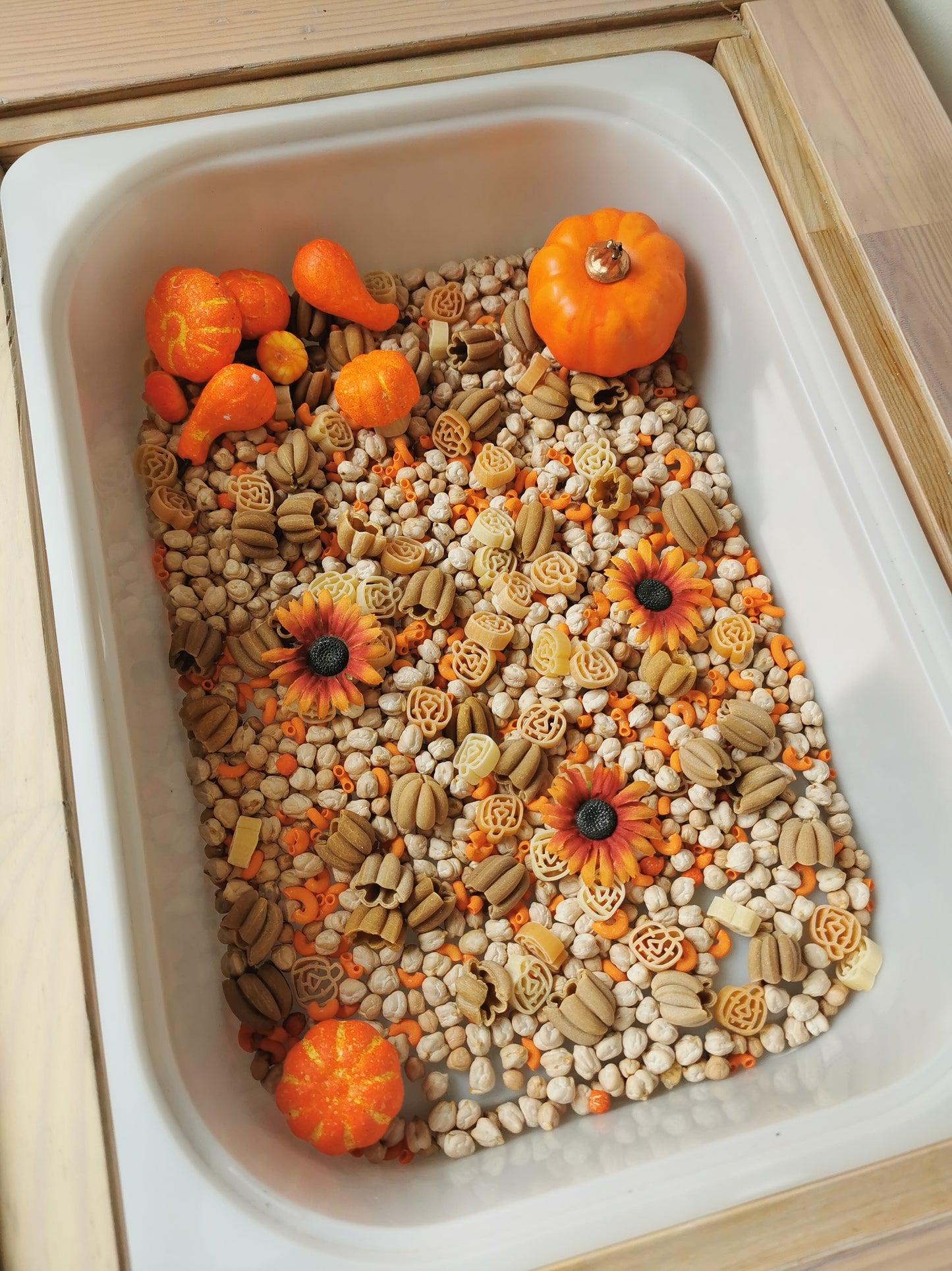 Workshop: Maak je eigen Halloween-speelbak