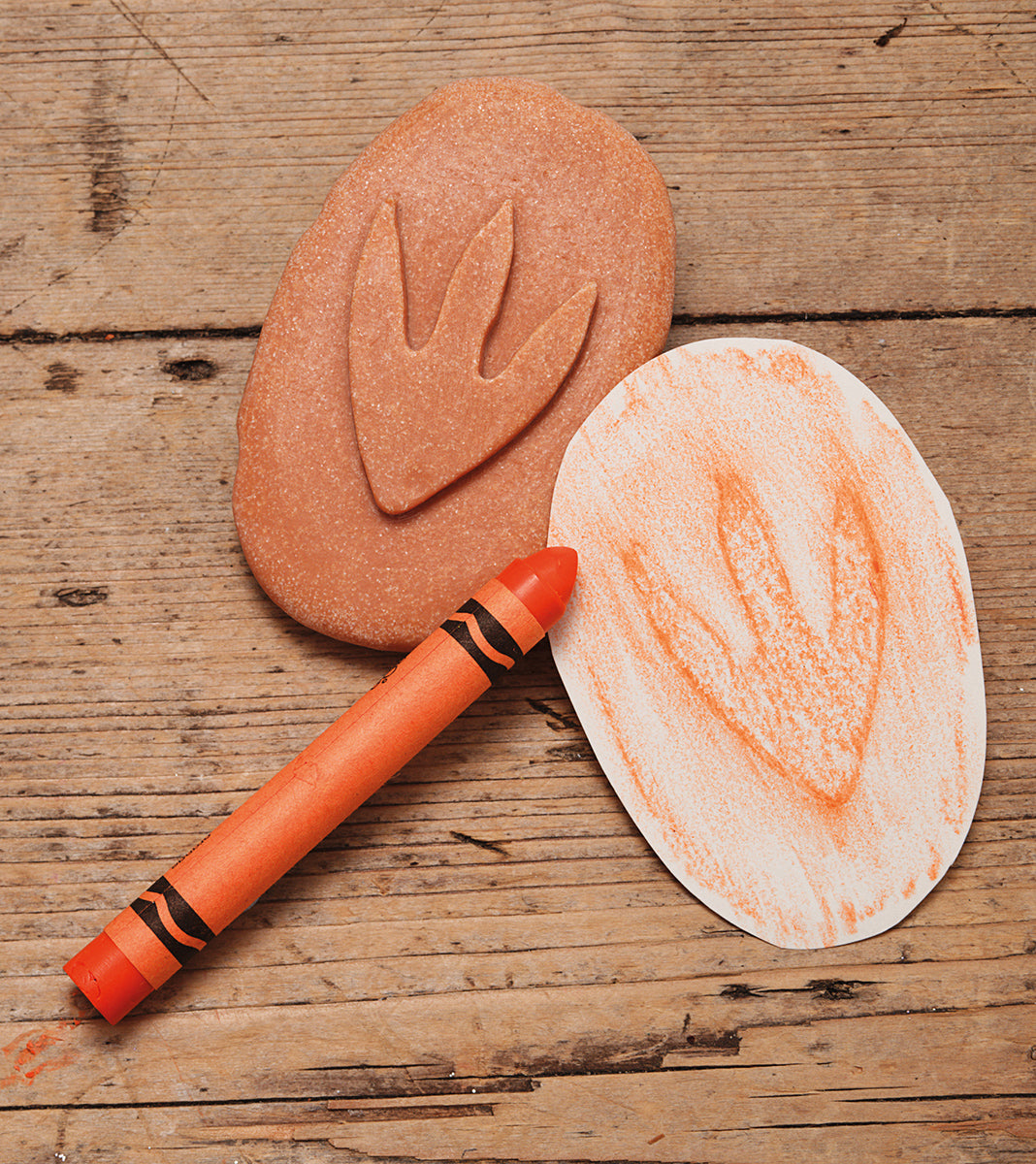 Yellow Door ontdekstenen - pootafdrukken dinosaurussen