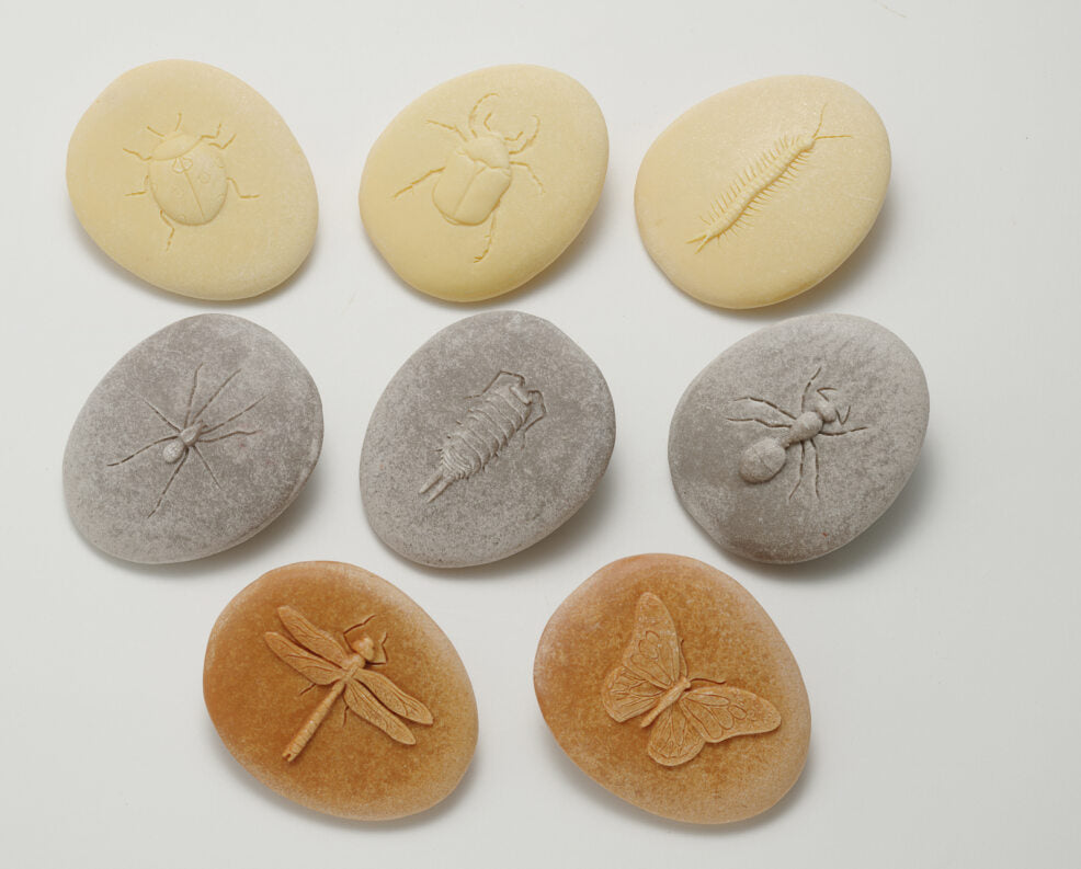 Yellow Door ontdekstenen - insecten