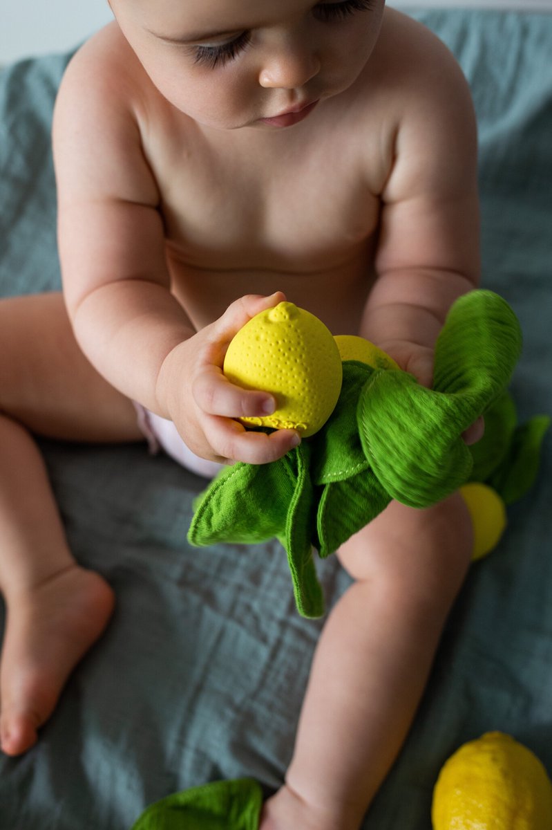 Bijtspeeltje en doudou - Lemon