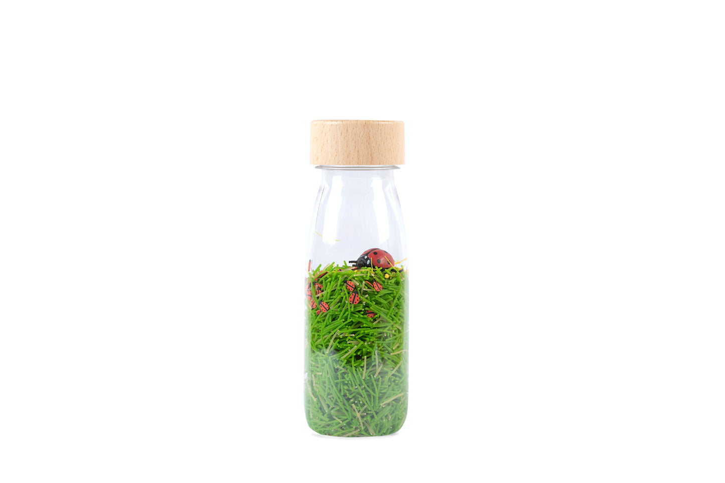 Sensorische fles lieveheersbeestje