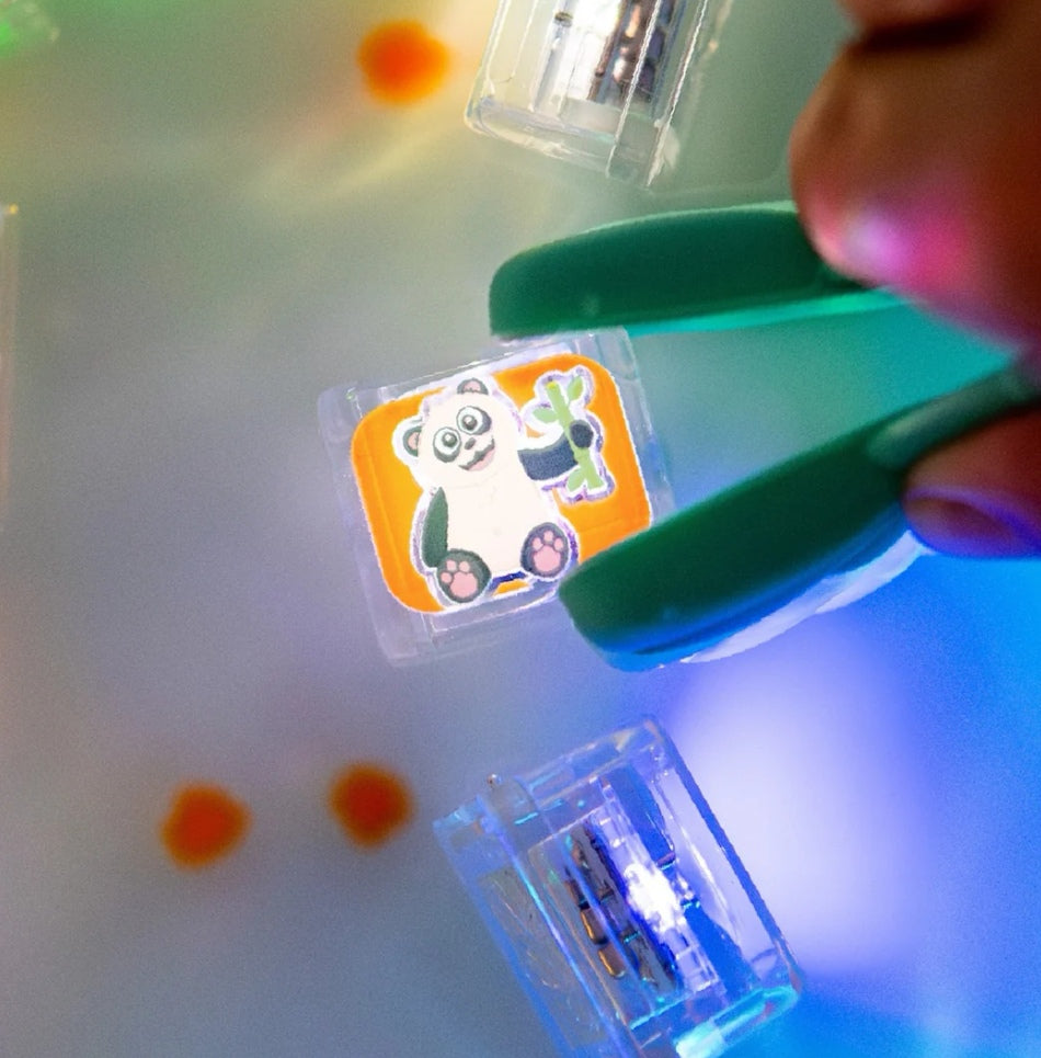 Glo Pals ltd edition cubes (6st)