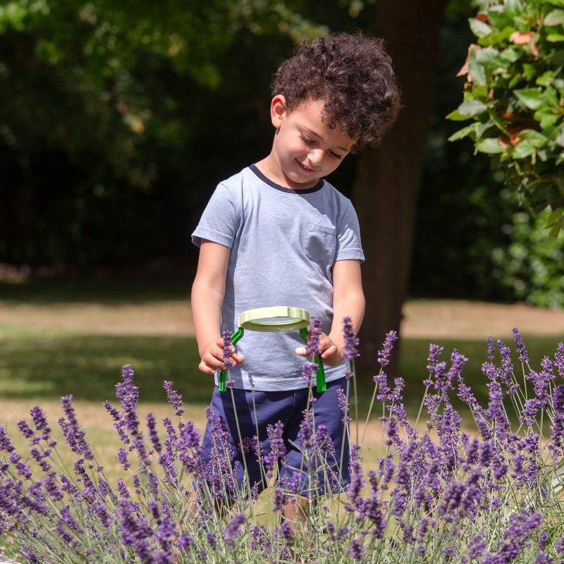 Tickit® Tafelvergrootglas met insectenpotje