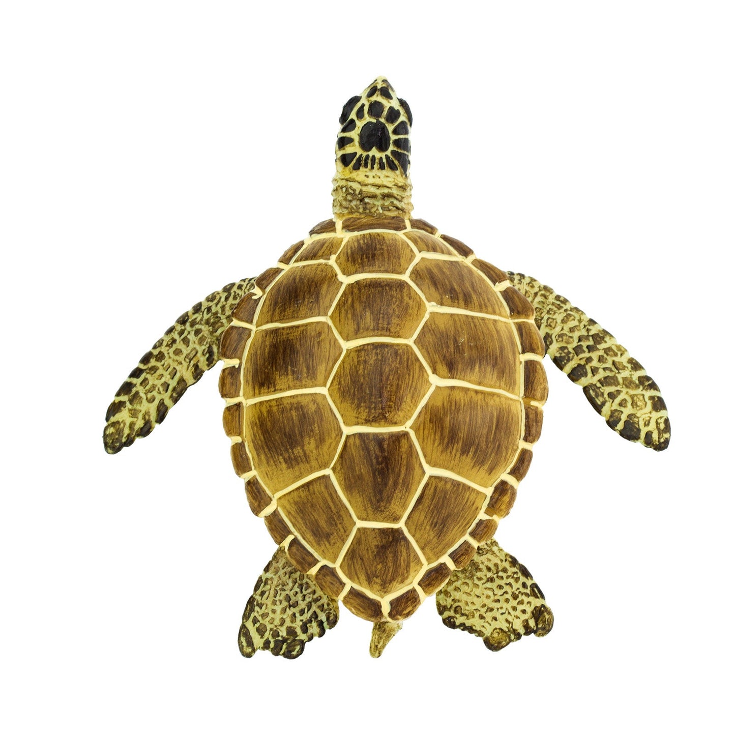 Zeeschildpad