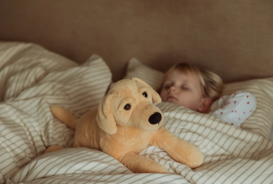 Verzwaringsknuffel hond - 2,2 kg