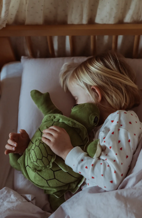 Verzwaringsknuffel schildpad - 1,6 kg