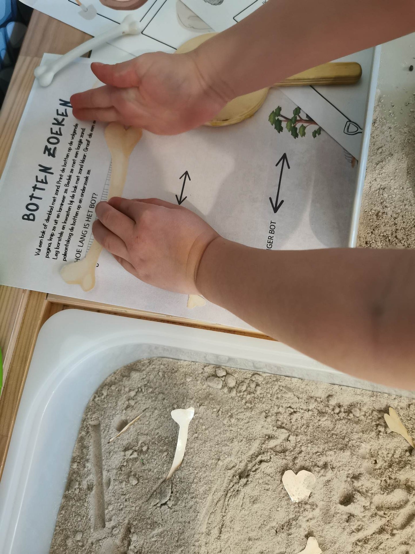 Dino speelpakket - kleine paleontoloog