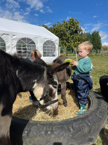 Speelsessie @ DE EZELBERG