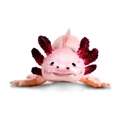 Axolotl