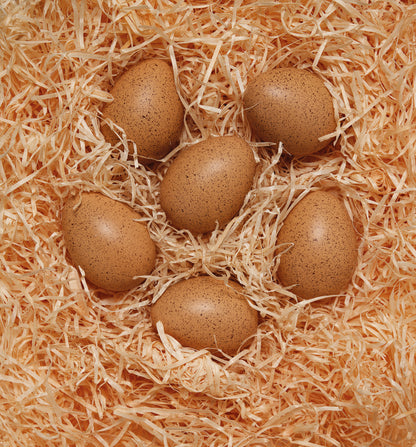 Sensorische Schudeitjes