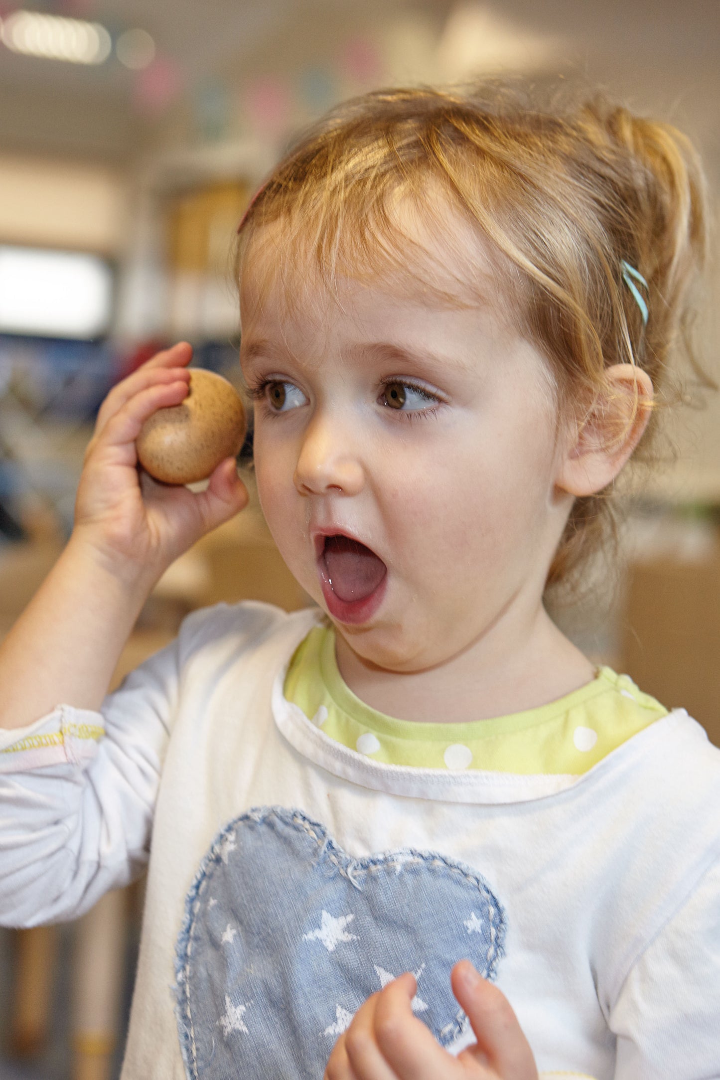 Sensorische Schudeitjes