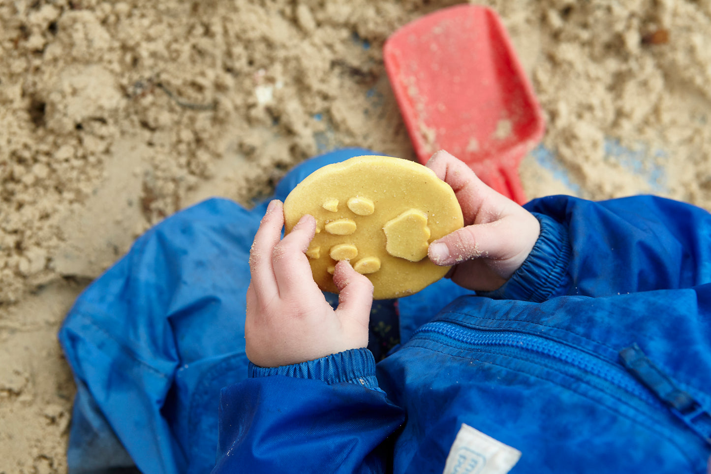 Yellow Door ontdekstenen -  pootafdrukken safaridieren