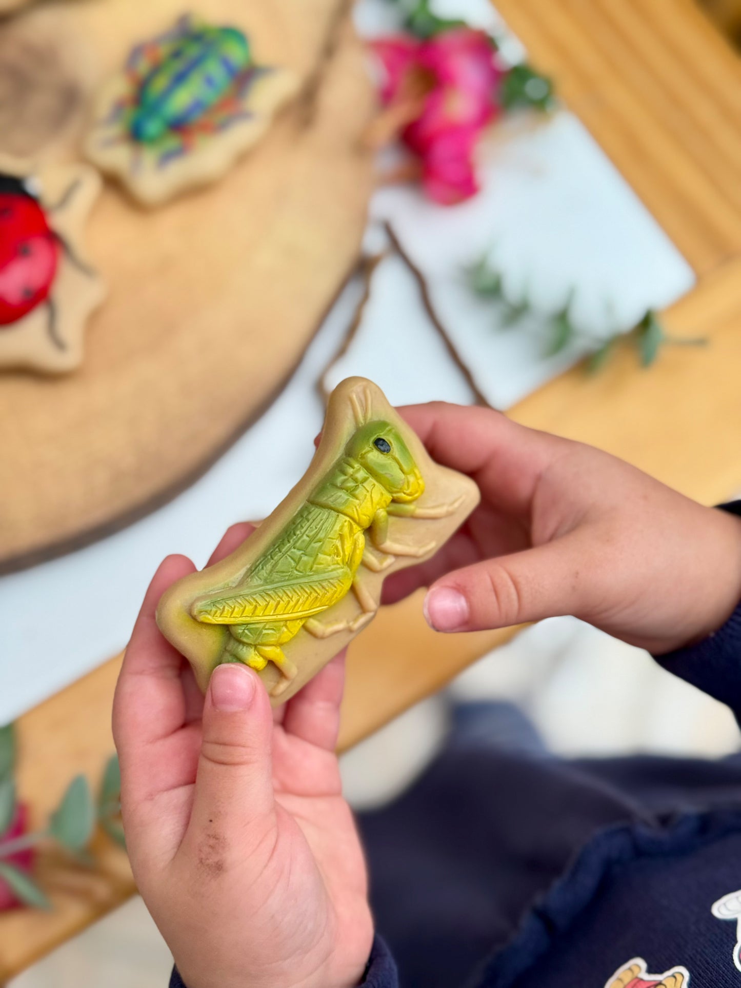 Sensorische Speelstenen - Insecten