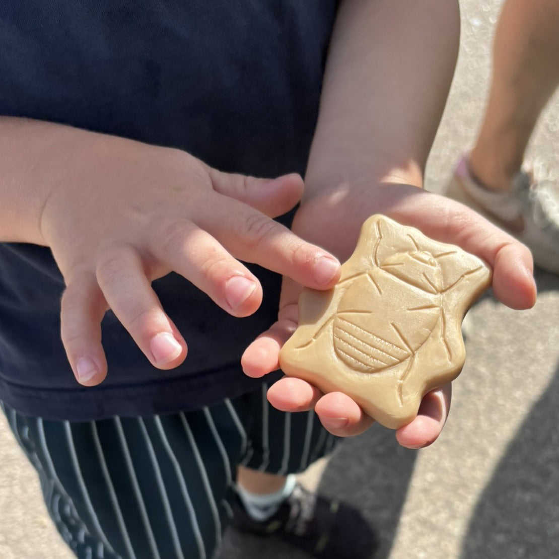 Sensorische Speelstenen - Insecten