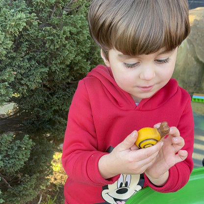 Sensorische Speelstenen - Insecten
