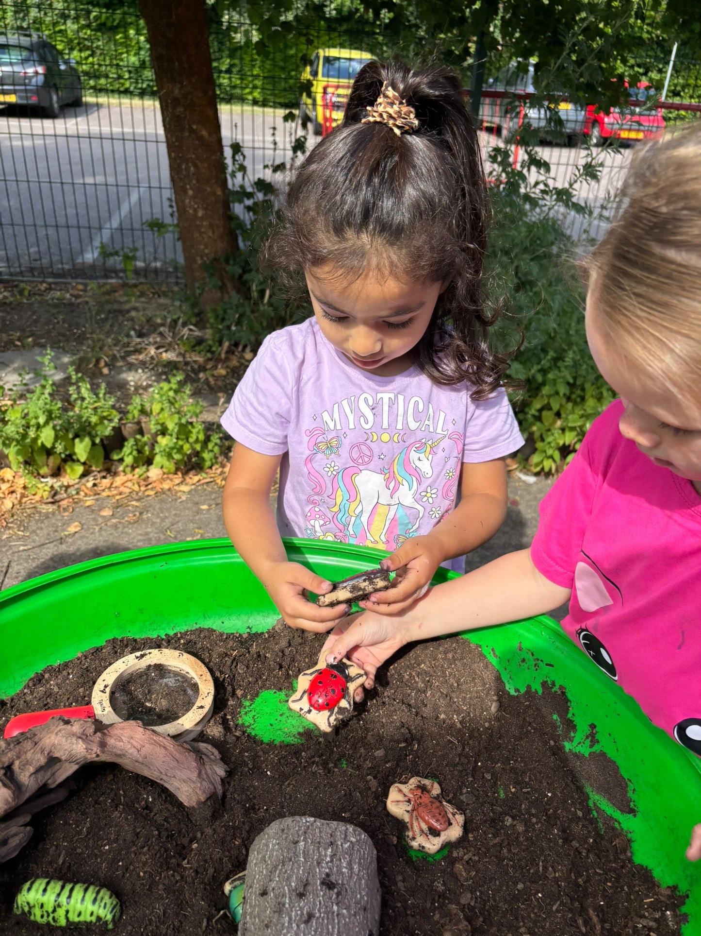 Sensorische Speelstenen - Insecten