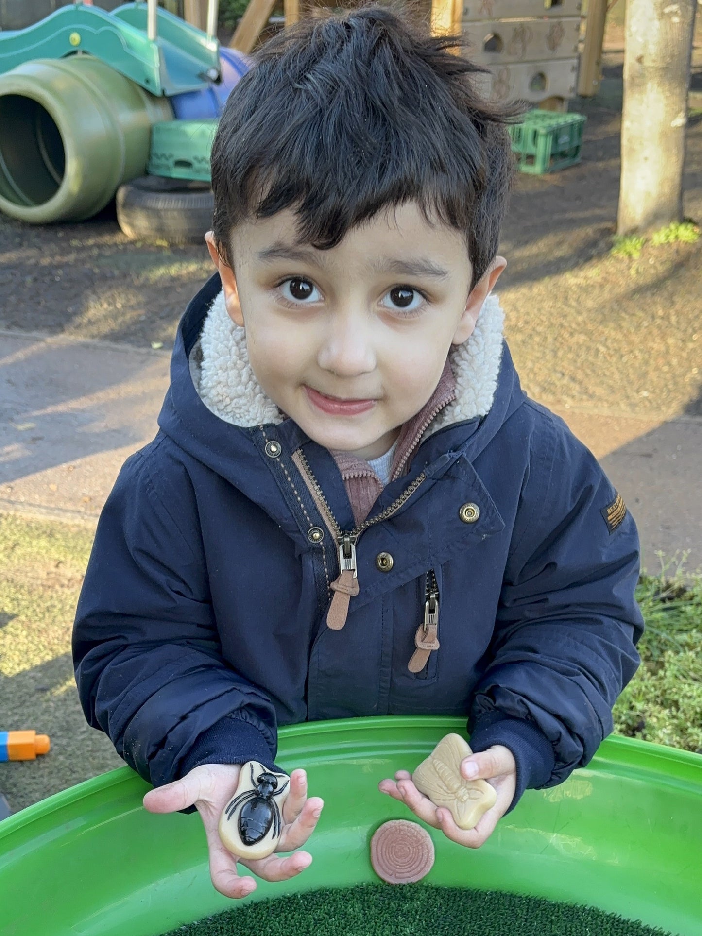 Sensorische Speelstenen - Insecten