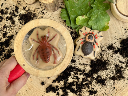 Sensorische Speelstenen - Insecten