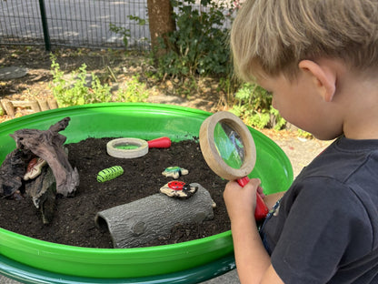 Sensorische Speelstenen - Insecten