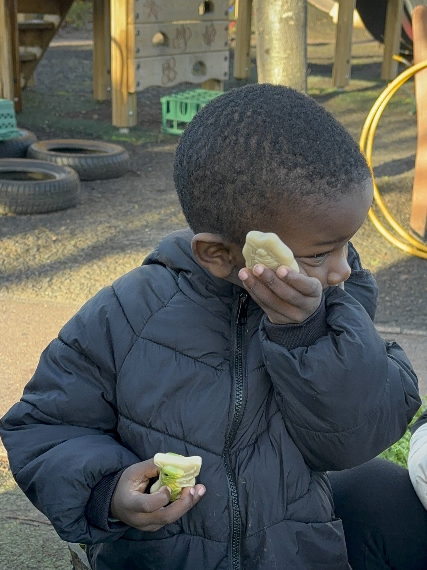 Sensorische Speelstenen - Insecten