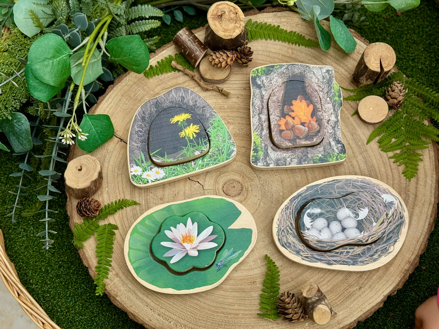 Wie verstopt zich? - Bosdieren Puzzels