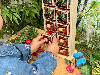 Houten Insectenhotel (10-frame)