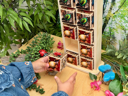Houten Insectenhotel (10-frame)