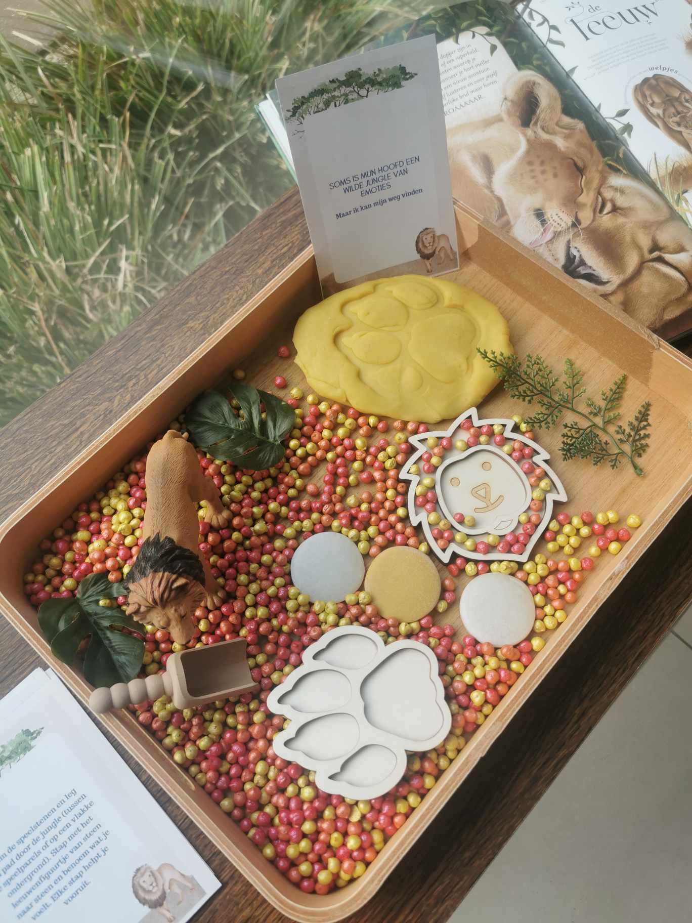 Brullende Leeuw Speelpakket (Boosheid)