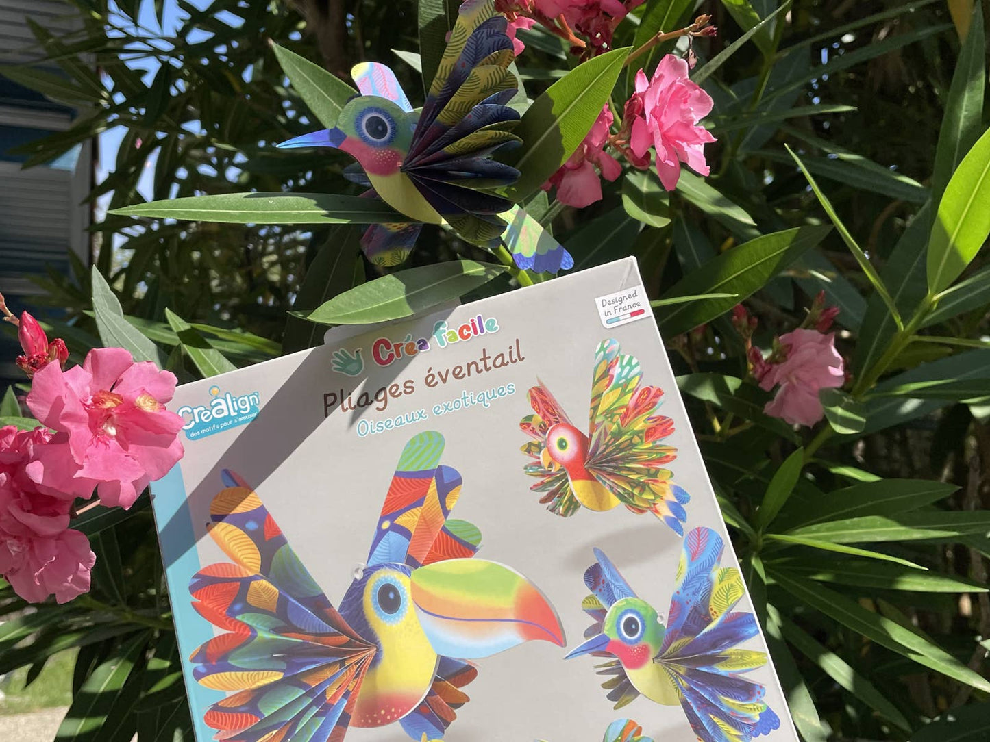 Vouwset ‘Exotische vogels’