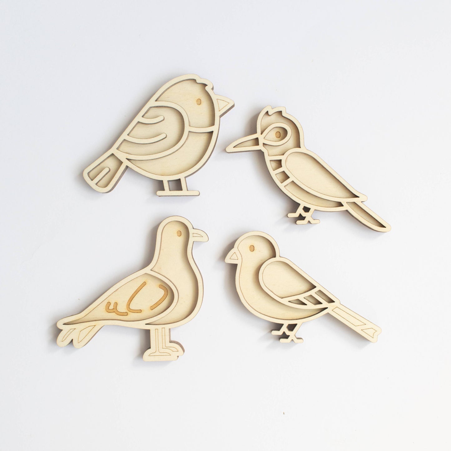 Vulvormen vogels