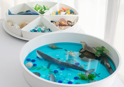 Inspire My Play playTRAY