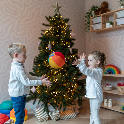 Sensorische Ballonbal Little Botanic Label - Regenboog