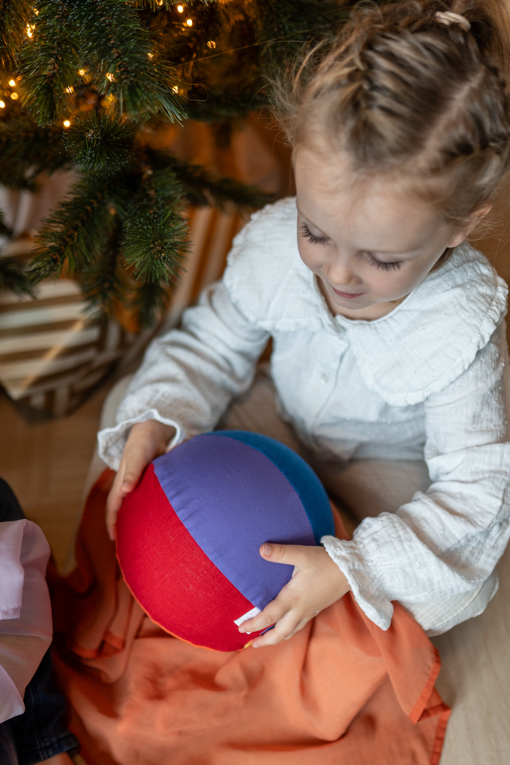 Sensorische Ballonbal Little Botanic Label - Regenboog