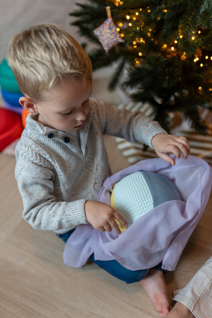 Sensorische Ballonbal Little Botanic Label - Regenboog