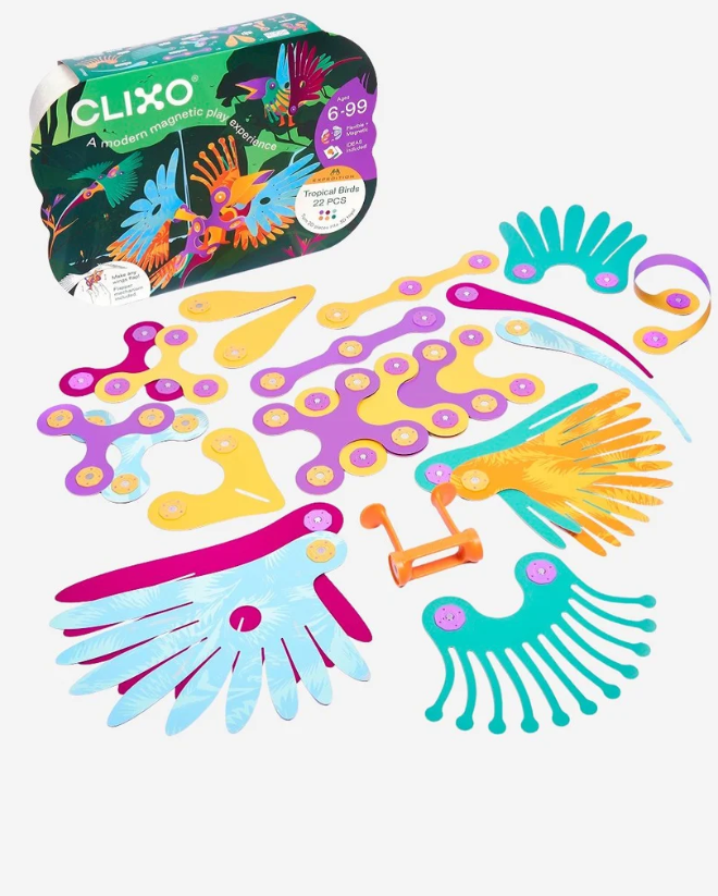 Clixo magnetisch bouwspeelgoed 24-delige Tropical Birds set