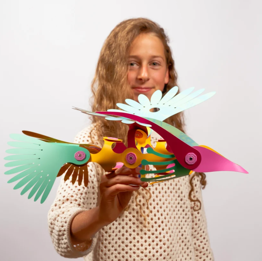 Clixo magnetisch bouwspeelgoed 24-delige Tropical Birds set