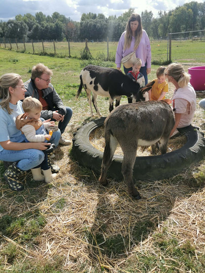 Speelsessie @ DE EZELBERG