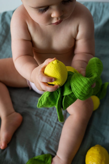 Bijtspeeltje en doudou - Lemon