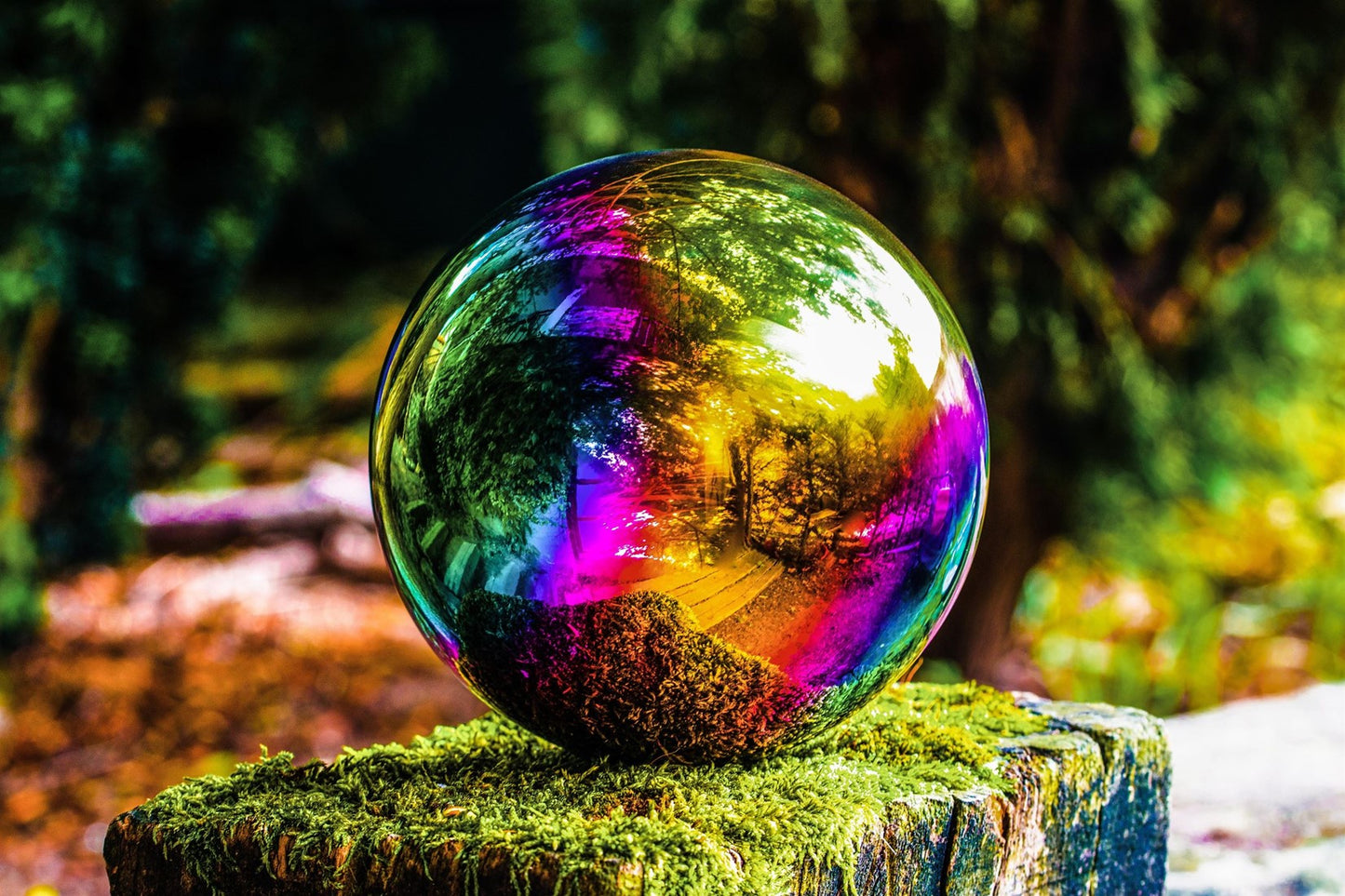 TickiT sensorische reflecterende gekleurde ballen