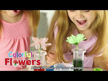 Wetenschapslabo regenboog reacties