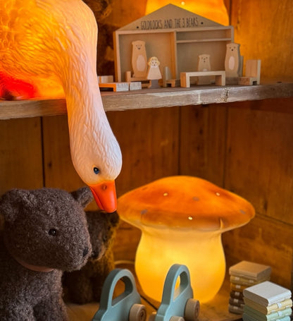 Egmont lamp eend die naar beneden kijkt
