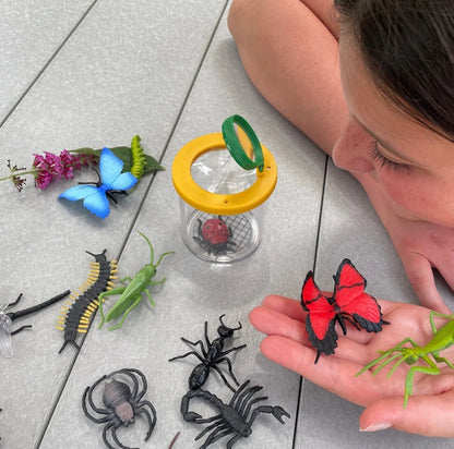 Insectenpotje