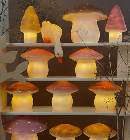 Egmont lamp eend die naar beneden kijkt