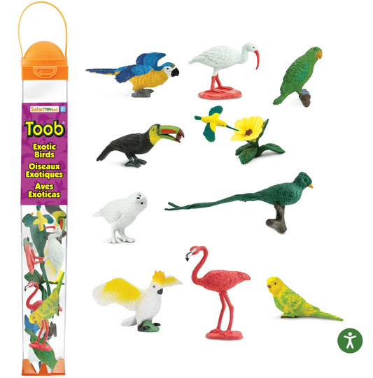 Speelfiguren Exotische Vogels TOOB®