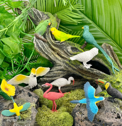 Speelfiguren Exotische Vogels TOOB®