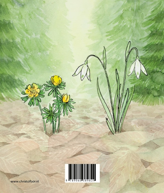 Winter- Sophie Pluim